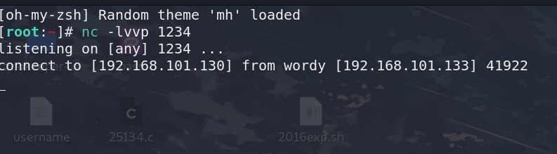 image-20210615182956882