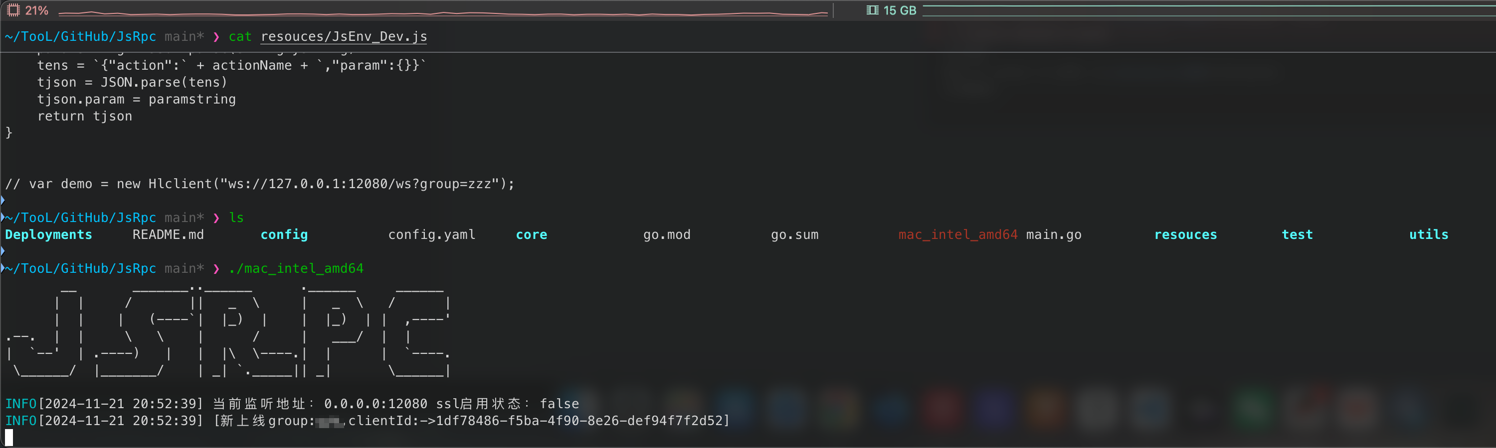 image-20241121205332456